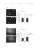 Transgenic animal model for alzheimer s disease diagram and image