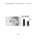 Transgenic animal model for alzheimer s disease diagram and image