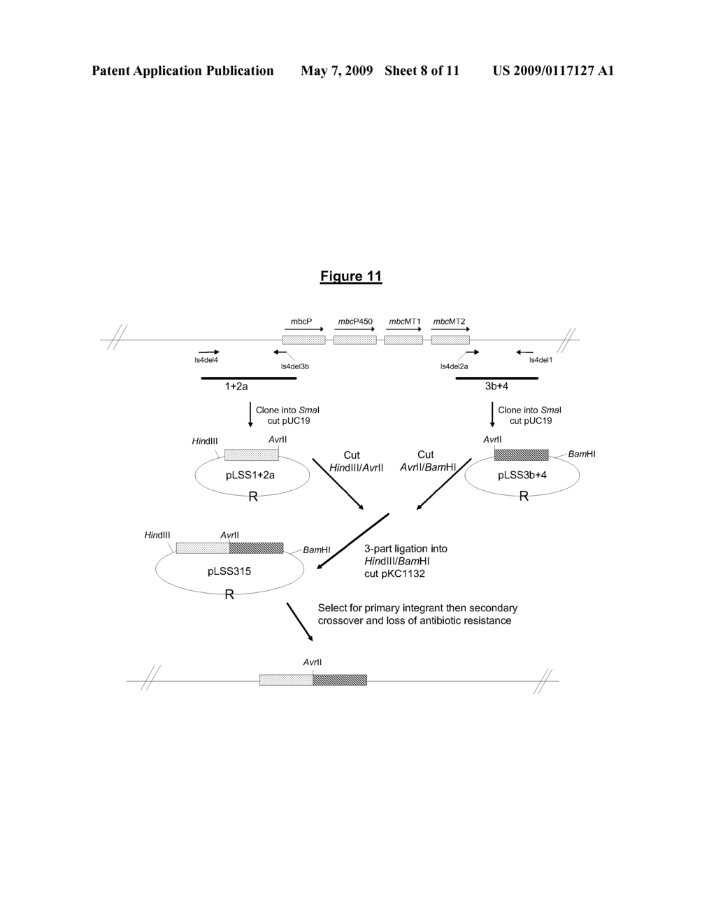 Novel Compounds and Methods for Their Production - diagram, schematic, and image 09