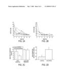 VACCINE FOR A THERAPEUTIC OR A PROPHYLACTIC TREATMENT OF MYASTHENIA GRAVIS diagram and image