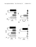 LUTZOMYIA LONGIPALPIS POLYPEPTIDES AND METHODS OF USE diagram and image