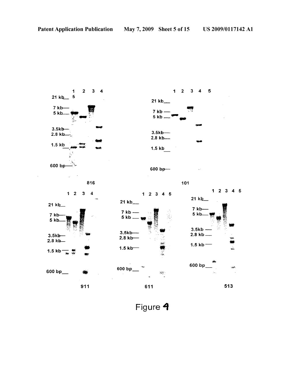 RECOMBINANT FUSOBACTERIUM NECROPHORUM LEUKOTOXIN VACCINE AND PREPARATION THEREOF - diagram, schematic, and image 06