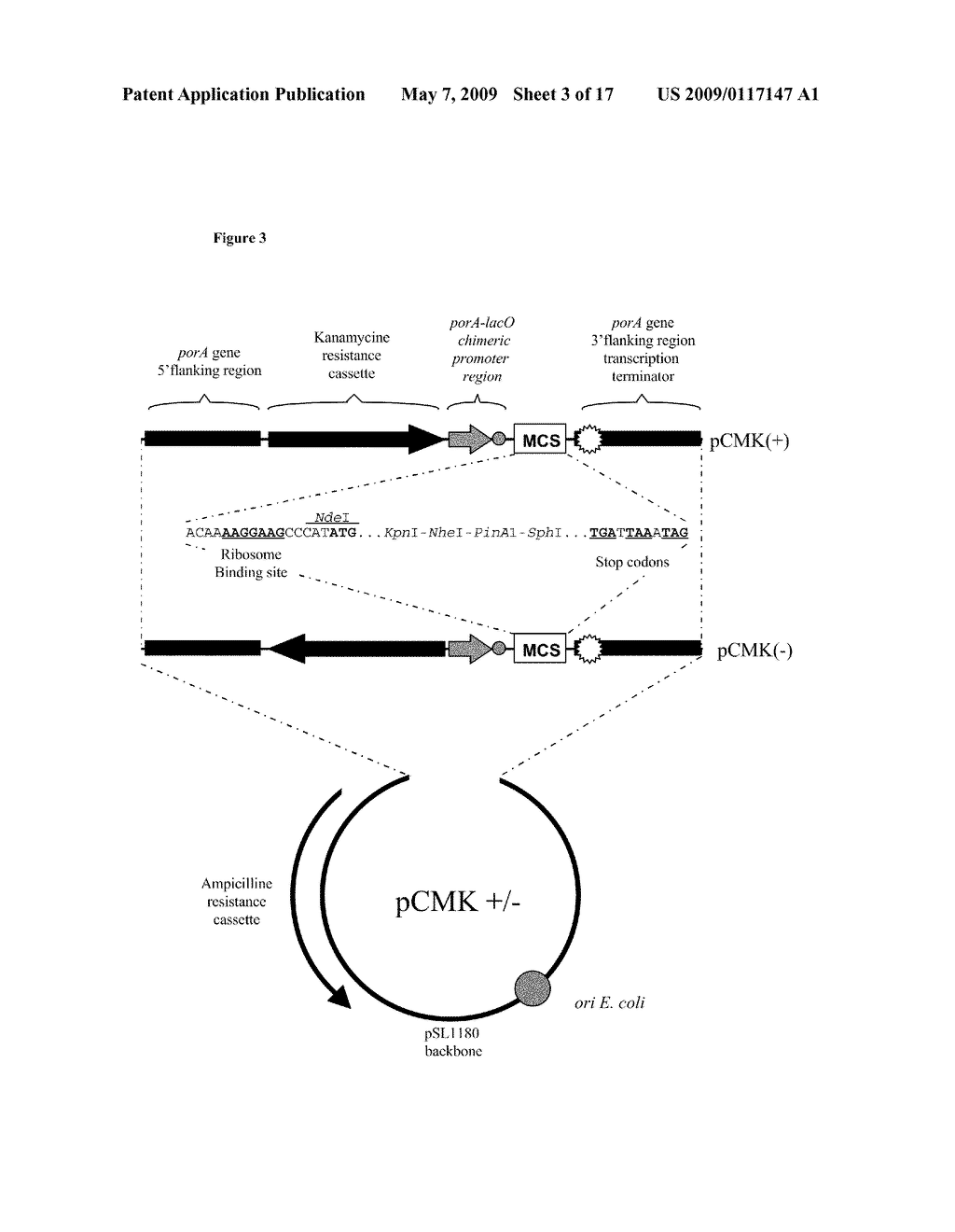 VACCINES COMPRISING OUTER MEMBRANE VESICLES FROM GRAM NEGATIVE BACTERIA - diagram, schematic, and image 04