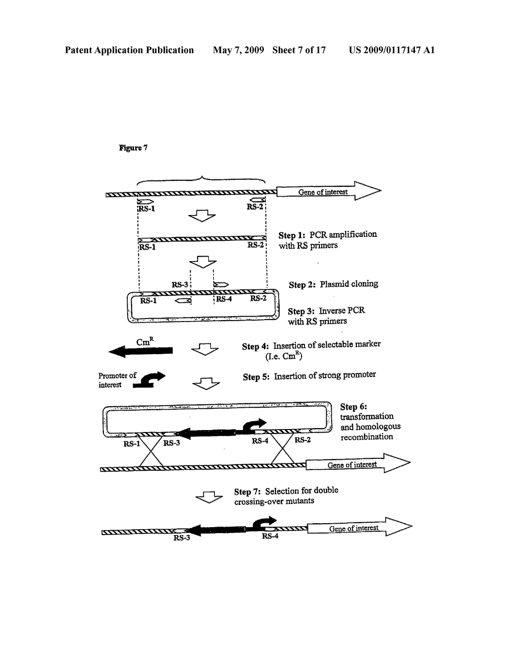 VACCINES COMPRISING OUTER MEMBRANE VESICLES FROM GRAM NEGATIVE BACTERIA - diagram, schematic, and image 08