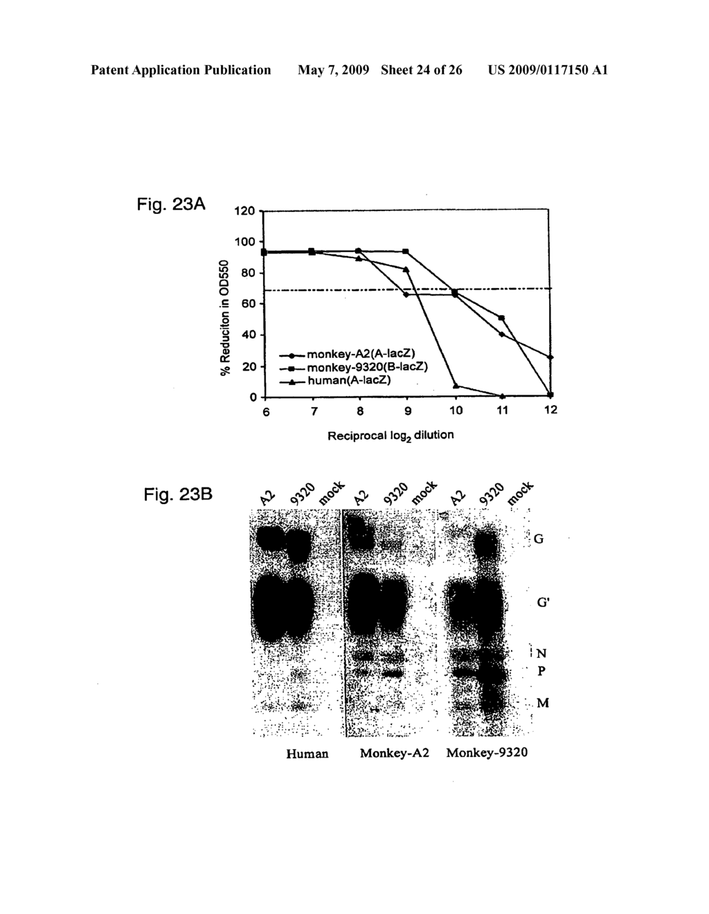 Functional Mutations In Respiratory Syncytial Virus - diagram, schematic, and image 25