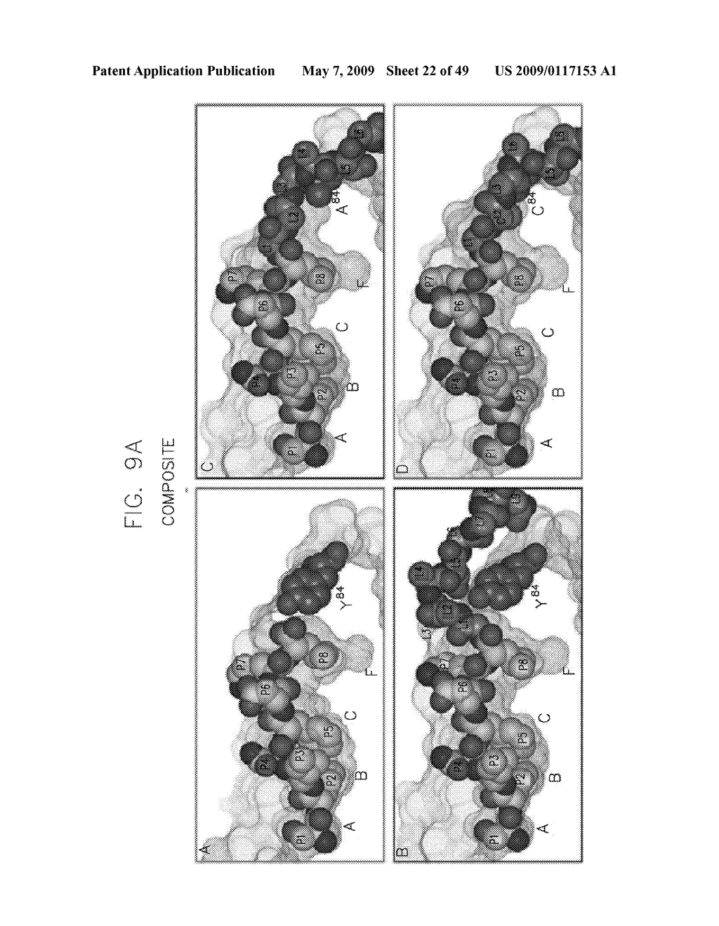 Disulfide Trap MHC Class I Molecules and Uses Therefor - diagram, schematic, and image 23