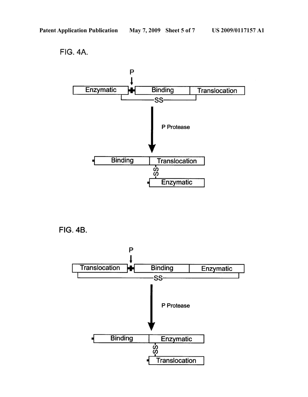 METHODS OF TREATING UROGENITAL-NEUROLOGICAL DISORDERS USING MODIFIED CLOSTRIDIAL TOXINS - diagram, schematic, and image 06