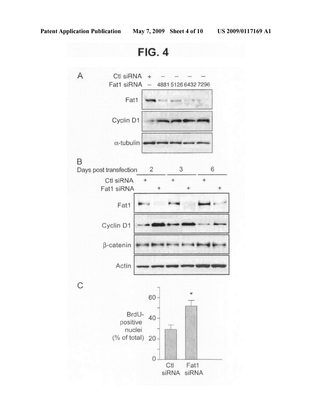 Methods and compositions for regulating proliferation and migration of vascular smooth muscle cells - diagram, schematic, and image 05