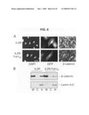 Methods and compositions for regulating proliferation and migration of vascular smooth muscle cells diagram and image