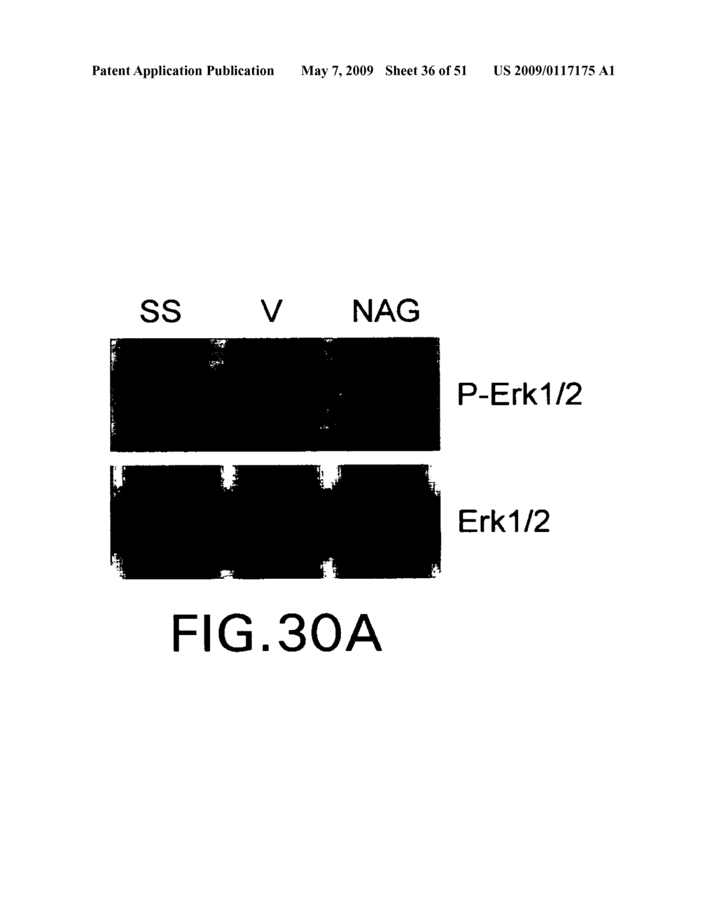 HEMOSTATIC COMPOSITIONS AND THERAPEUTIC REGIMENS - diagram, schematic, and image 37