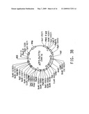 PEROXISOME BIOGENESIS FACTOR PROTEIN (PEX) DISRUPTIONS FOR ALTERING POLYUNSATURATED FATTY ACIDS AND TOTAL LIPID CONTENT IN OLEAGINOUS EUKARYOTIC ORGANISMS diagram and image