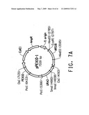 PEROXISOME BIOGENESIS FACTOR PROTEIN (PEX) DISRUPTIONS FOR ALTERING POLYUNSATURATED FATTY ACIDS AND TOTAL LIPID CONTENT IN OLEAGINOUS EUKARYOTIC ORGANISMS diagram and image