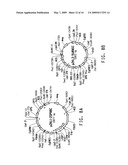 PEROXISOME BIOGENESIS FACTOR PROTEIN (PEX) DISRUPTIONS FOR ALTERING POLYUNSATURATED FATTY ACIDS AND TOTAL LIPID CONTENT IN OLEAGINOUS EUKARYOTIC ORGANISMS diagram and image