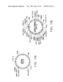 PEROXISOME BIOGENESIS FACTOR PROTEIN (PEX) DISRUPTIONS FOR ALTERING POLYUNSATURATED FATTY ACIDS AND TOTAL LIPID CONTENT IN OLEAGINOUS EUKARYOTIC ORGANISMS diagram and image