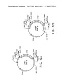 PEROXISOME BIOGENESIS FACTOR PROTEIN (PEX) DISRUPTIONS FOR ALTERING POLYUNSATURATED FATTY ACIDS AND TOTAL LIPID CONTENT IN OLEAGINOUS EUKARYOTIC ORGANISMS diagram and image