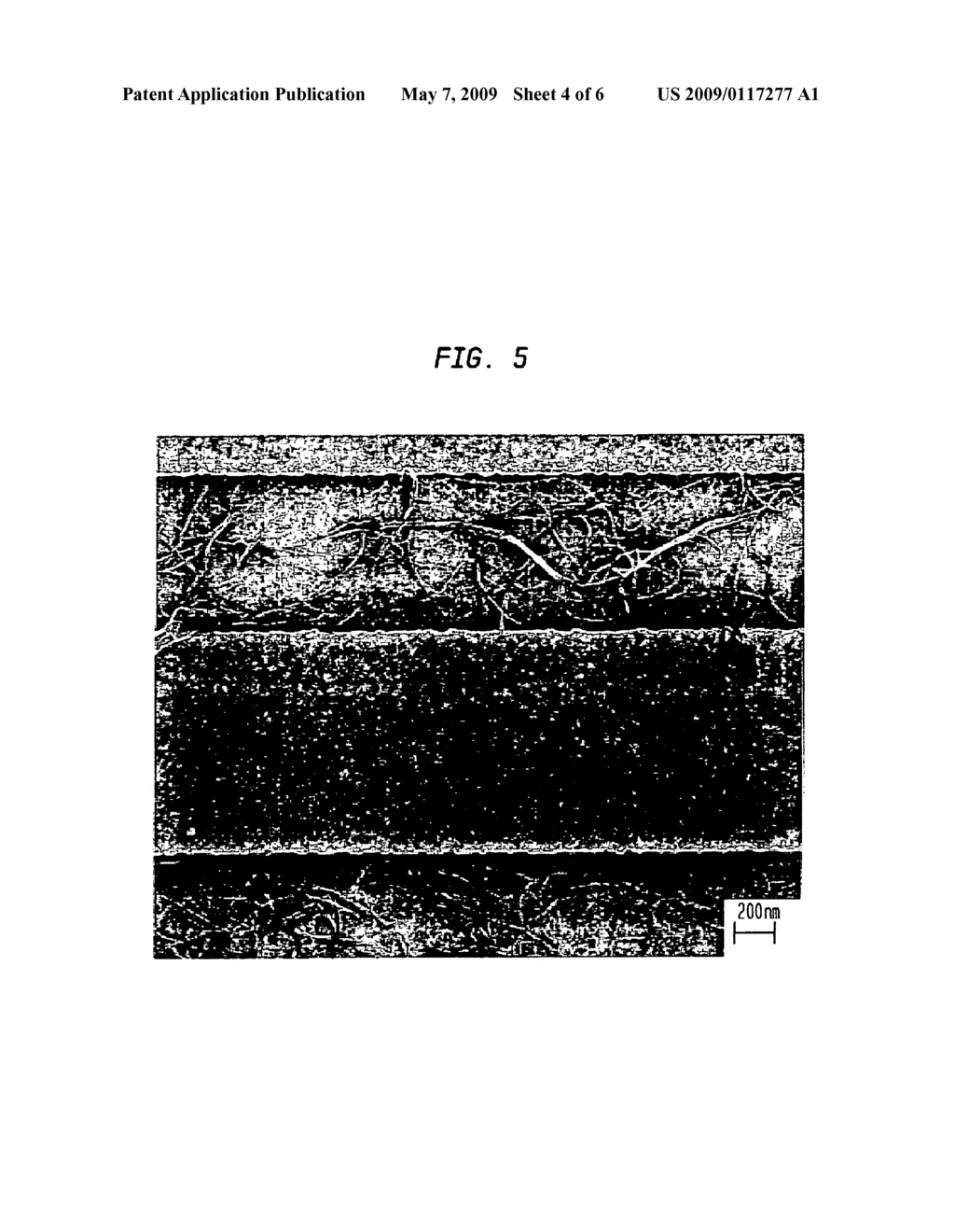 SELECTIVE PLACEMENT OF CARBON NANOTUBES ON OXIDE SURFACES - diagram, schematic, and image 05