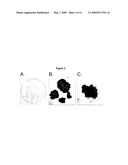 METHOD FOR PREPARING NANOCRYSTALLINE SILICON IN SIO2 AND FREESTANDING SILICON NANOPARTICLES diagram and image