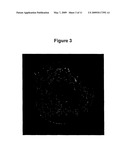 METHOD FOR PREPARING NANOCRYSTALLINE SILICON IN SIO2 AND FREESTANDING SILICON NANOPARTICLES diagram and image