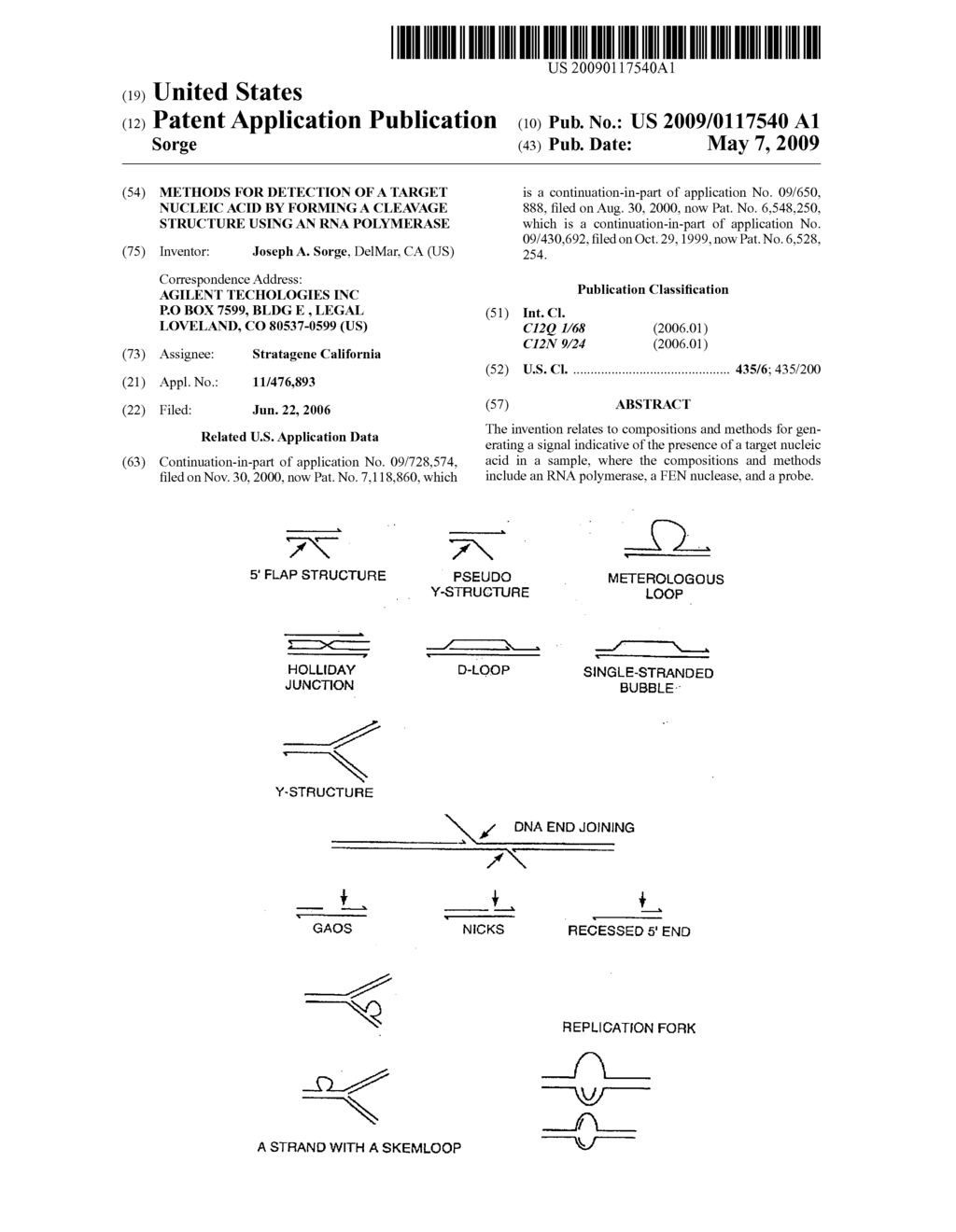 Methods for detection of a target nucleic acid by forming a cleavage structure using an RNA polymerase - diagram, schematic, and image 01