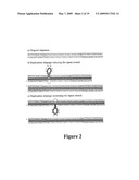 UNIQUE SHORT TANDEM REPEATS AND METHODS OF THEIR USE diagram and image