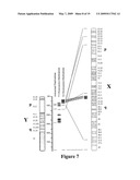 UNIQUE SHORT TANDEM REPEATS AND METHODS OF THEIR USE diagram and image