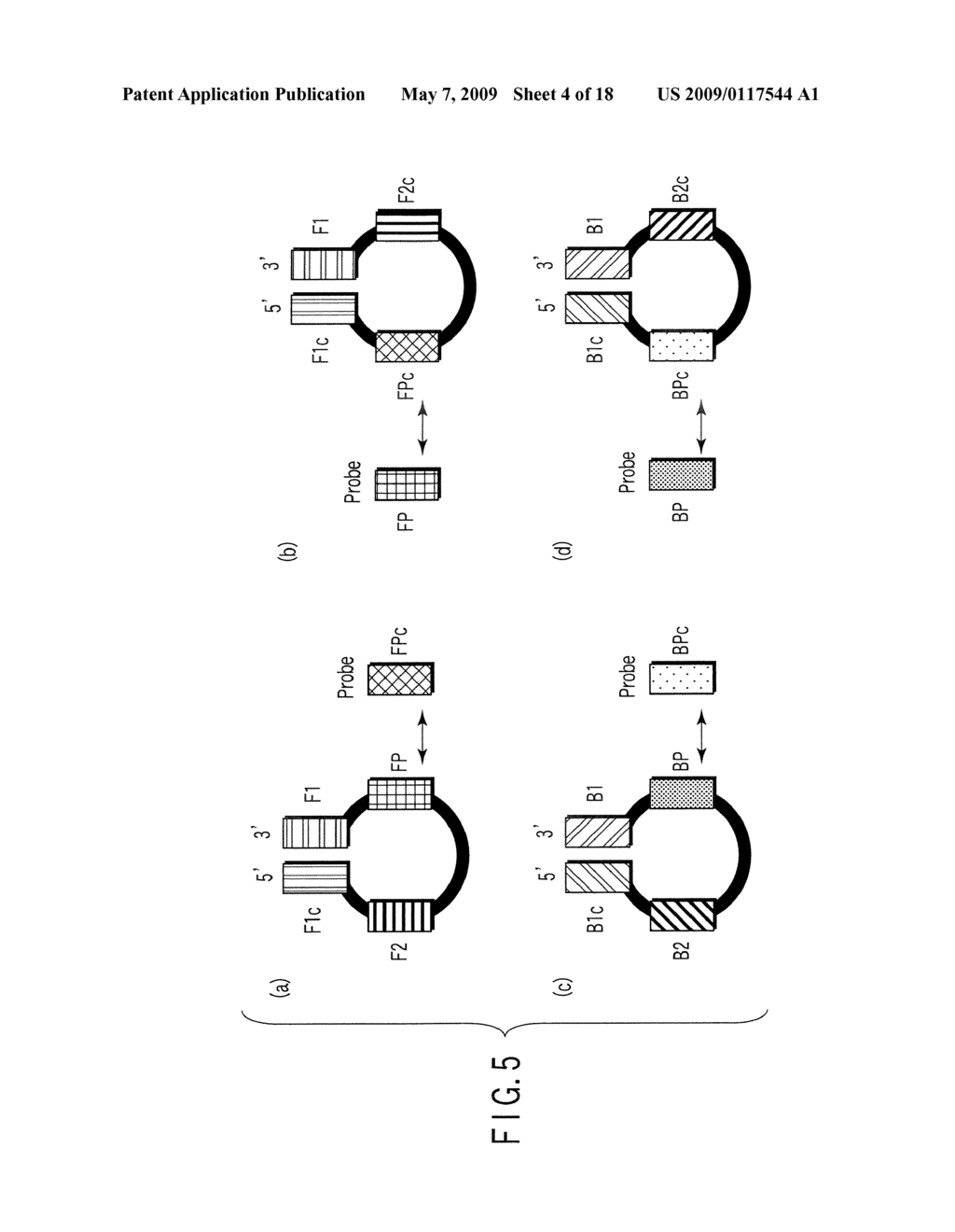 METHOD OF DESIGNING PRIMERS FOR USE IN METHOD OF DETECTING TARGET NUCLEIC ACID AND ASSAY KIT - diagram, schematic, and image 05