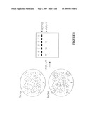 Disease detection by digital protein truncation assays diagram and image