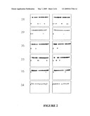 Disease detection by digital protein truncation assays diagram and image