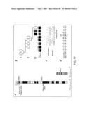 POLYNUCLEOTIDE AND PROTEIN INVOLVED IN SYNAPTOGENESIS, VARIANTS THEREOF, AND THEIR THERAPEUTIC AND DIAGNOSTIC USES diagram and image