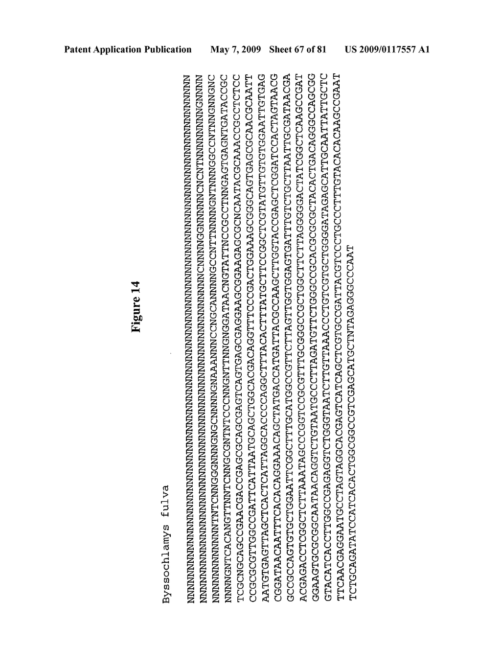 Rapid Detection of Microorganisms - diagram, schematic, and image 68