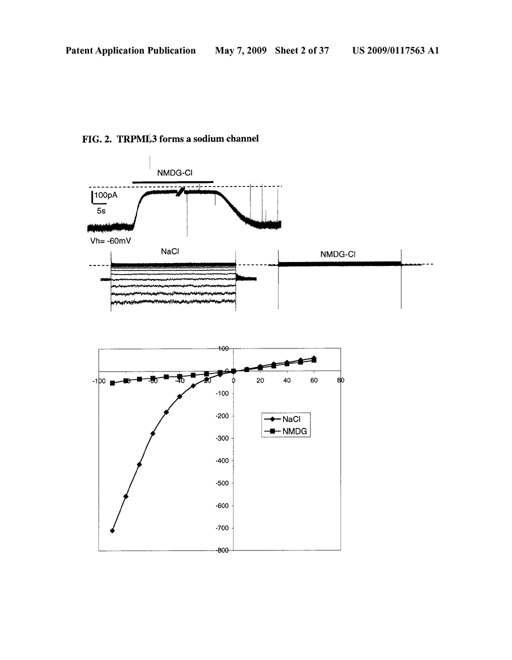 Identification of TRPML3 (MCOLN3) as a Salty Taste Receptor and Use in Assays for Identifying Taste (Salty) Modulators and/or Therapeutics that Modulate Sodium Transport, Absorption or Excretion and/or Aldosterone and/or Vasopressin Production or Release - diagram, schematic, and image 03