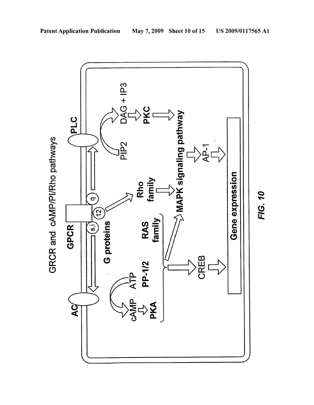 Compositions and methods for diagnosis and treating mood disorders - diagram, schematic, and image 11