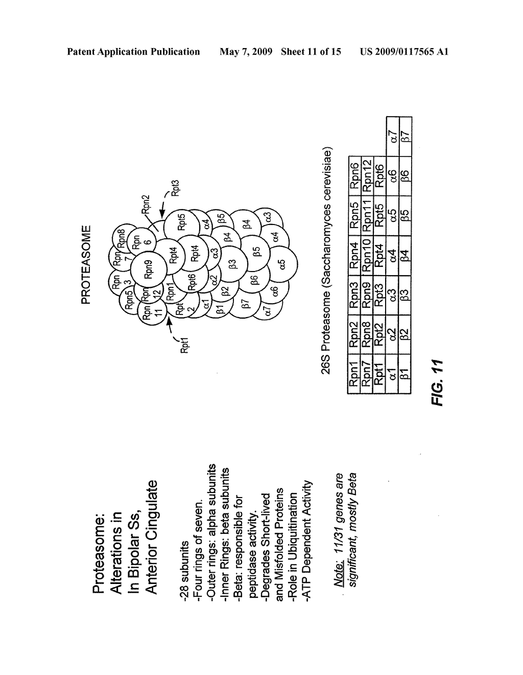 Compositions and methods for diagnosis and treating mood disorders - diagram, schematic, and image 12