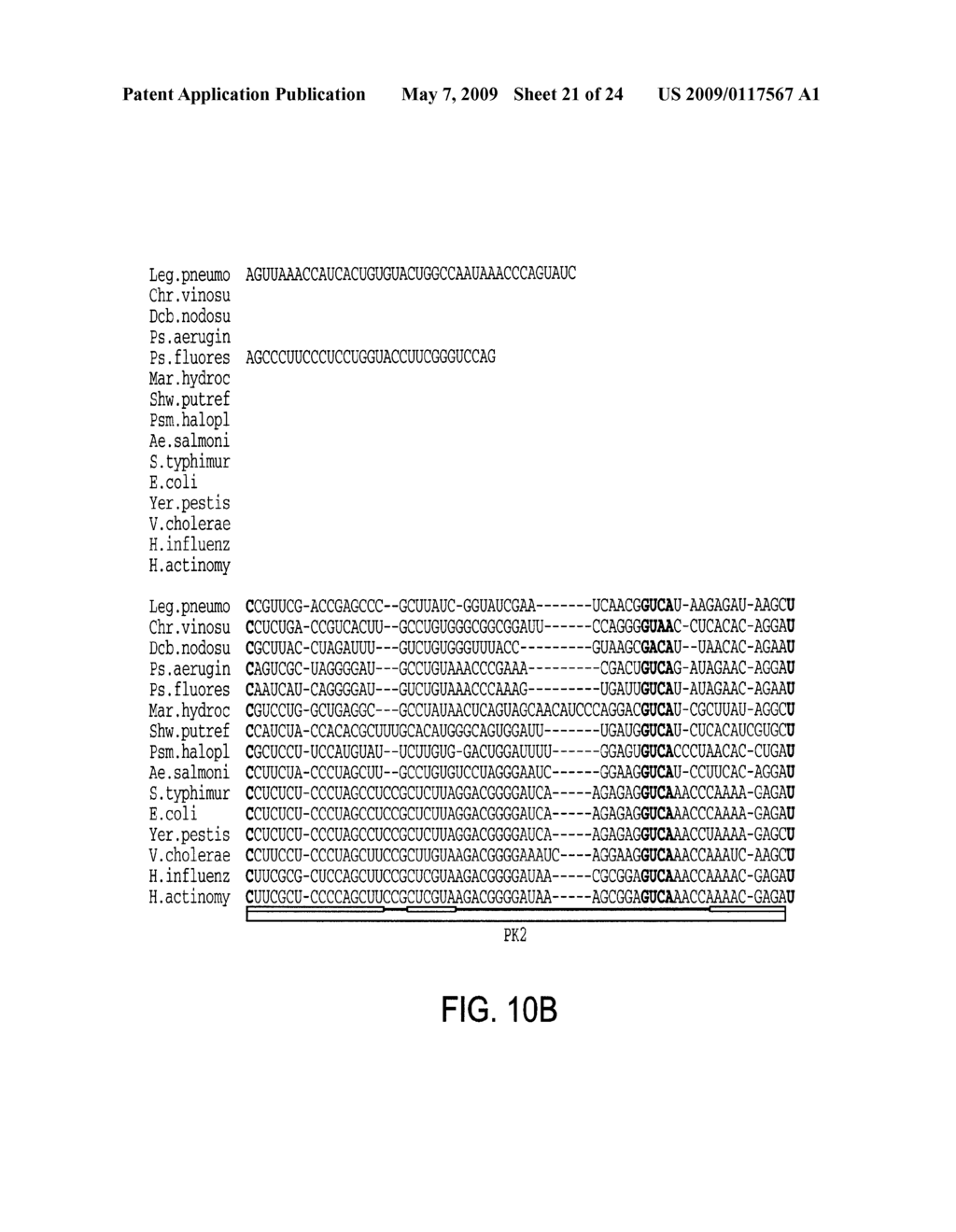 EUBACTERIAL tmRNA SEQUENCES AND USES THEREOF - diagram, schematic, and image 22