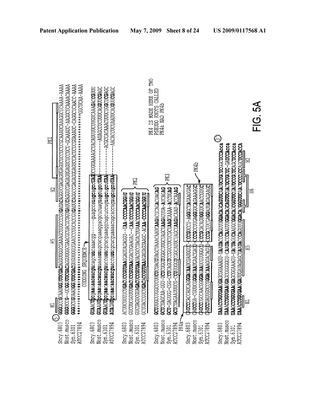 EUBACTERIAL tmRNA SEQUENCES AND USES THEREOF - diagram, schematic, and image 09