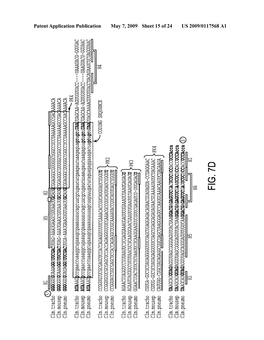 EUBACTERIAL tmRNA SEQUENCES AND USES THEREOF - diagram, schematic, and image 16