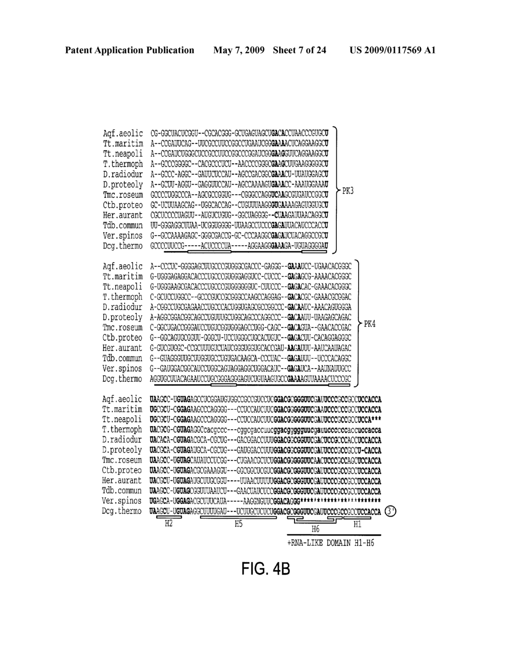 EUBACTERIAL tmRNA SEQUENCES AND USES THEREOF - diagram, schematic, and image 08