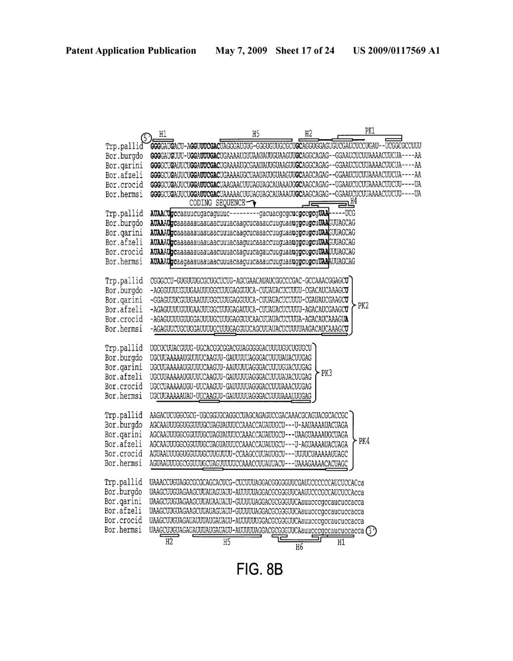 EUBACTERIAL tmRNA SEQUENCES AND USES THEREOF - diagram, schematic, and image 18