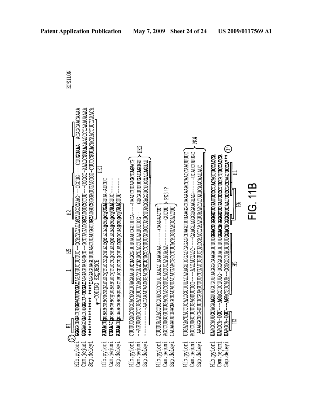 EUBACTERIAL tmRNA SEQUENCES AND USES THEREOF - diagram, schematic, and image 25