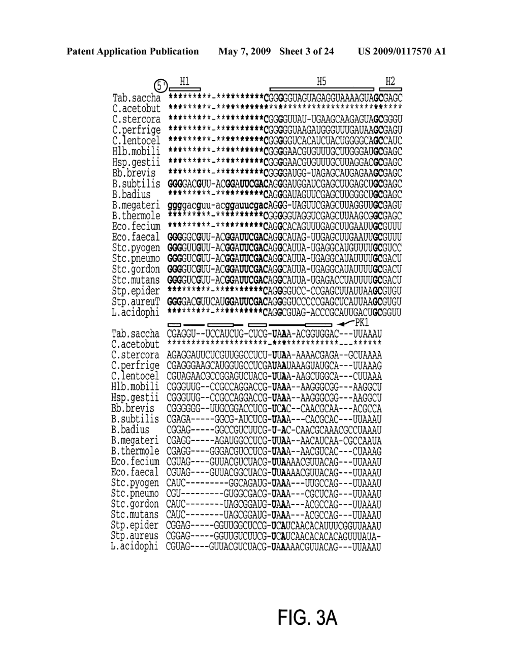 EUBACTERIAL tmRNA SEQUENCES AND USES THEREOF - diagram, schematic, and image 04