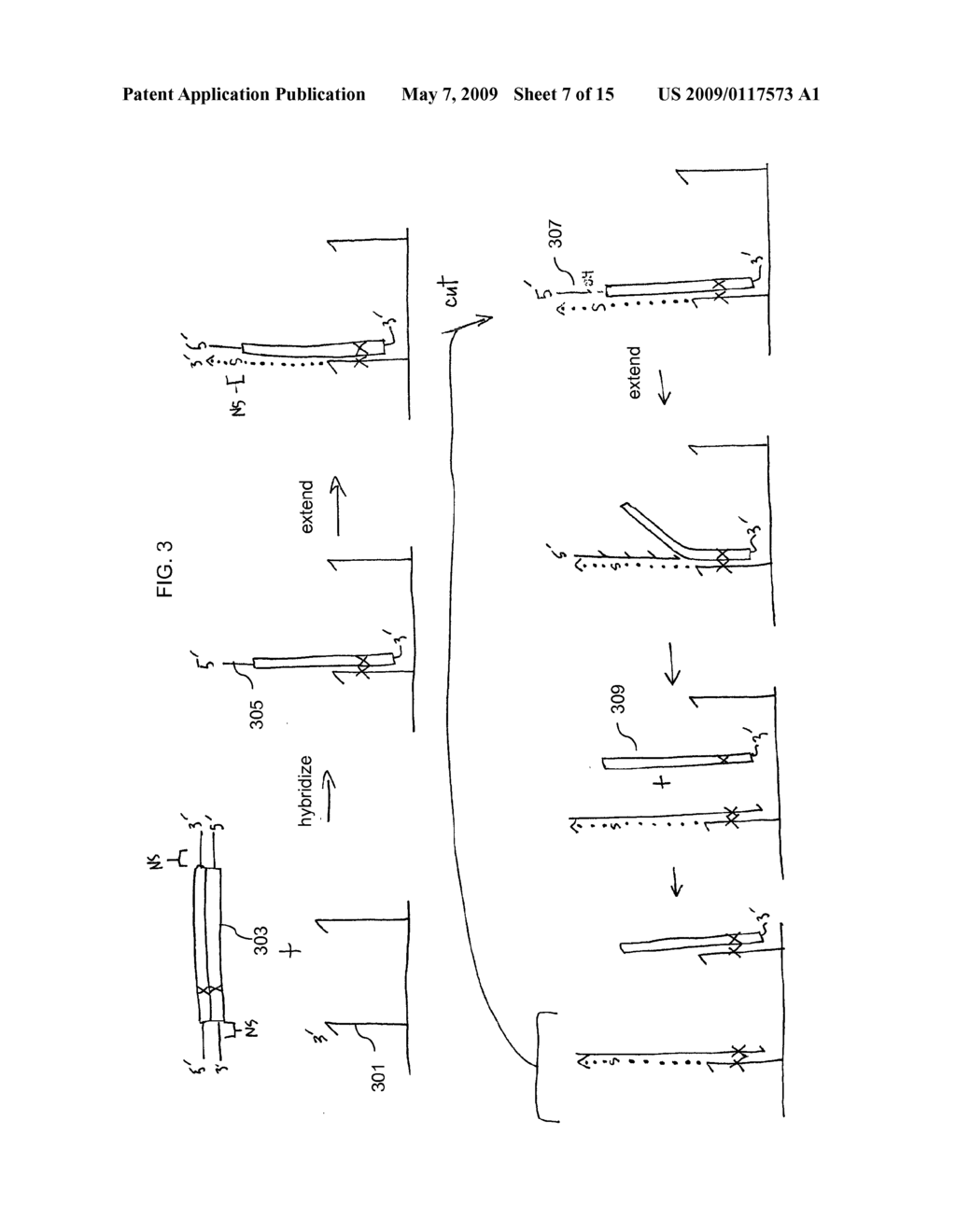 Locus specific amplification using array probes - diagram, schematic, and image 08