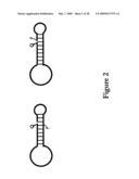 Detection Probe Acting by Molecular Recognition diagram and image