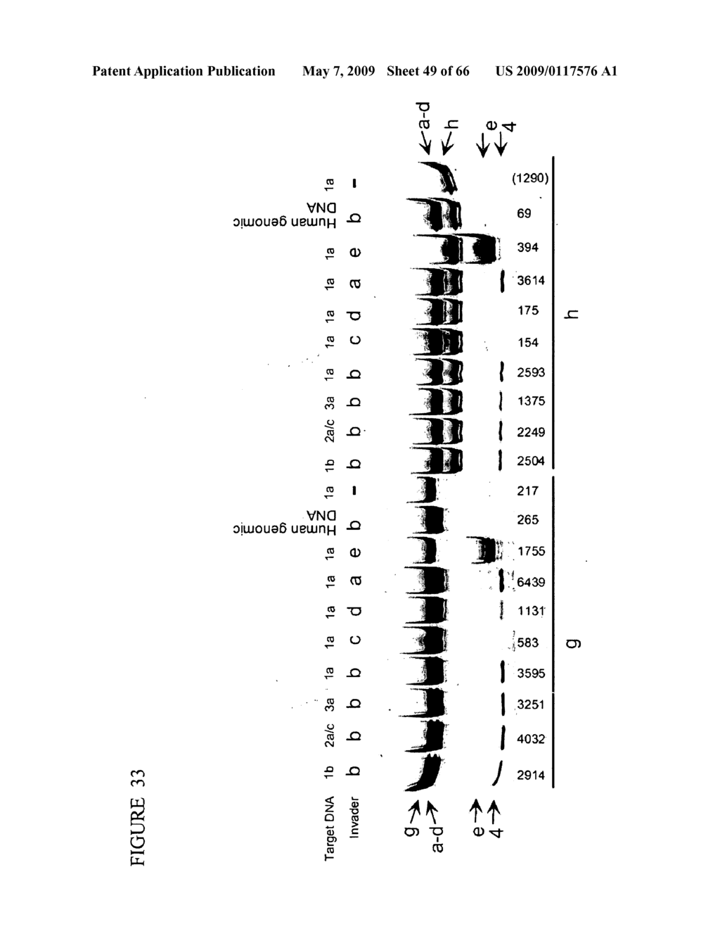 METHODS FOR ANALYZING NUCLEIC ACID - diagram, schematic, and image 50