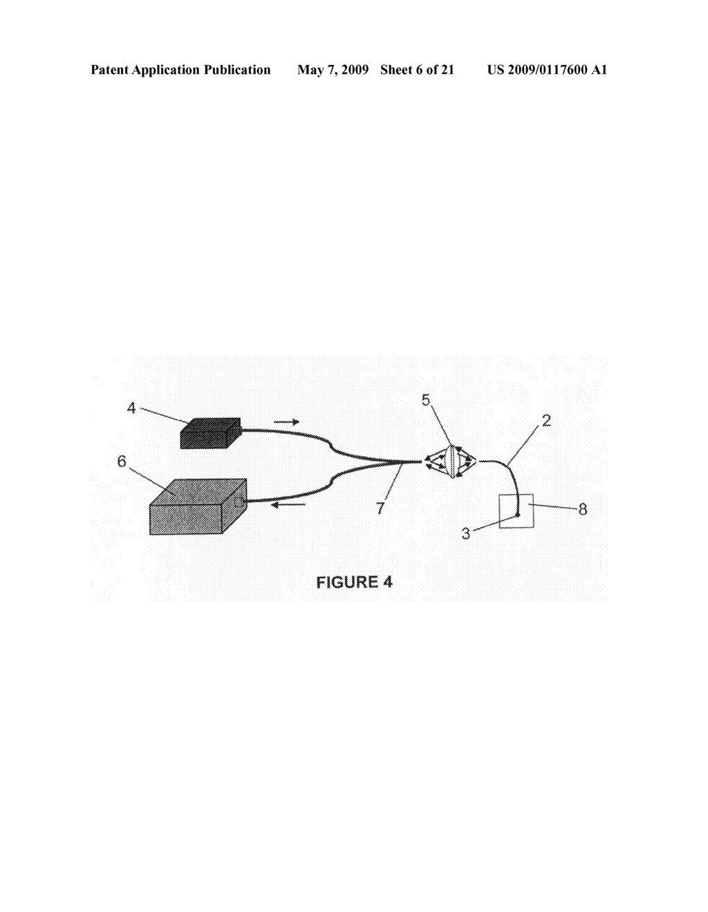 Detection of biological molecules by differential partitioning of enzyme substrates and products - diagram, schematic, and image 07