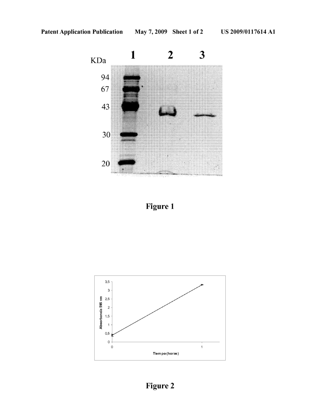 BETA-MANNANASE FROM COFFEE BERRY BORER, HYPOTHENEMUS HAMPEI, AND USES THEREOF - diagram, schematic, and image 02