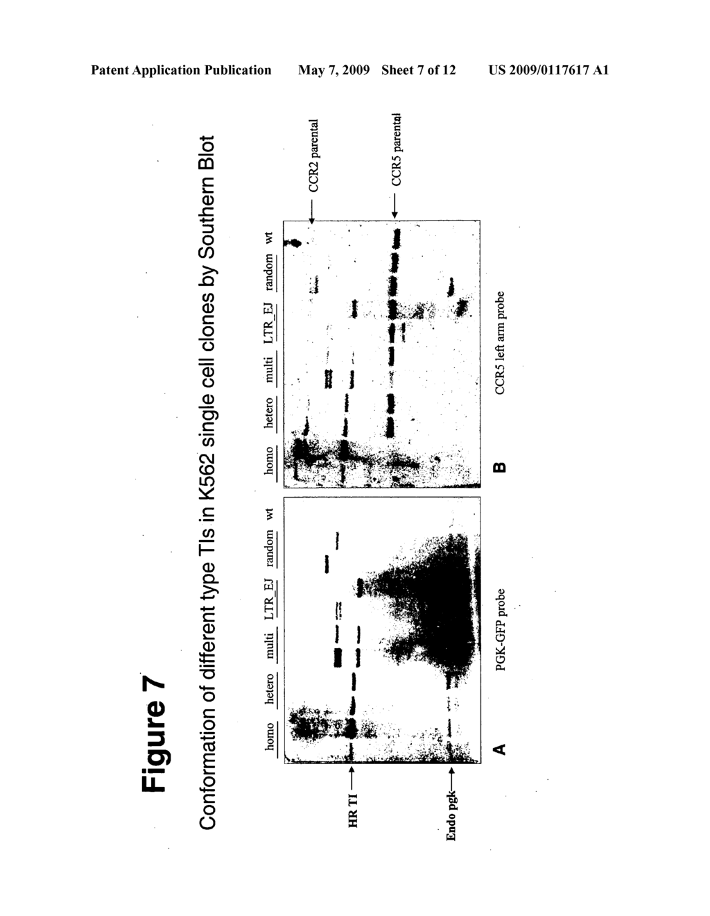 Methods and compositions for targeted integration - diagram, schematic, and image 08