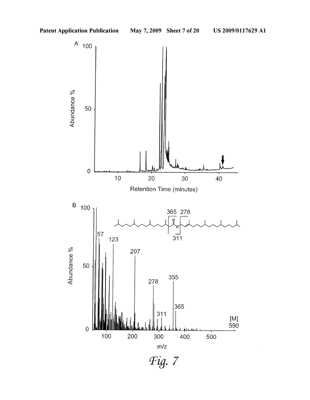 ISOPRENOID WAX ESTER SYNTHASES, ISOPRENOID ACYL COA-SYNTHETASES, AND USES THEREOF - diagram, schematic, and image 08