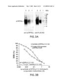 ISOLATED SOLUBLE CORTICOTROPIN RELEASING FACTOR RECEPTOR TYPE 2 (SCRFR2) diagram and image