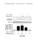 ISOLATED SOLUBLE CORTICOTROPIN RELEASING FACTOR RECEPTOR TYPE 2 (SCRFR2) diagram and image