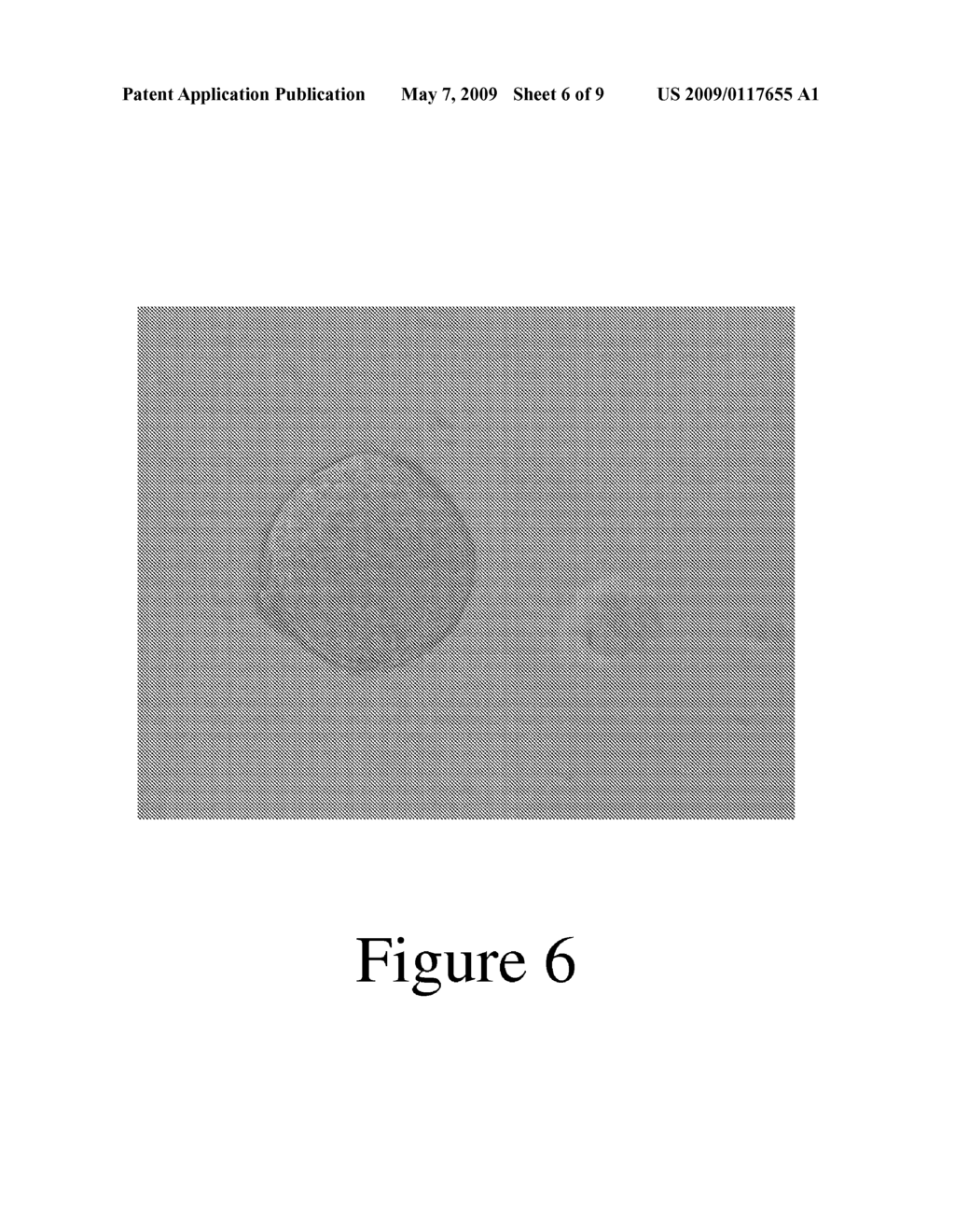 Culture Matrix for Forming a Cell Spheroid, and Method of Culturing the Same - diagram, schematic, and image 07